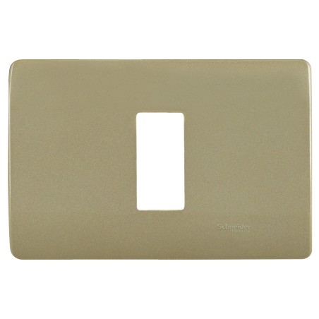 Placa 1 Modulo C/Soporte Dorada
