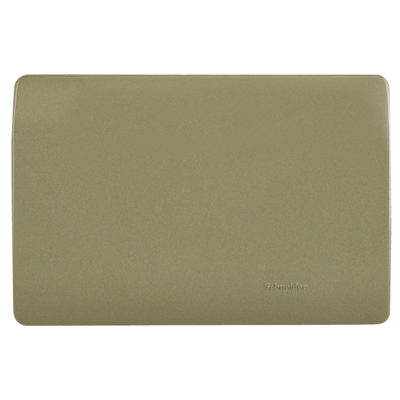 Placa Ciega C/Soporte Dorada