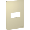 Placa 1 Modulo Horizont Aluminio Gold Schneider