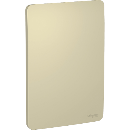 Placa Ciega Horizont Gold Schneider