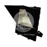 Proyector de Area LED Ekoled 100W Luz Cálida DS43 Ekoline