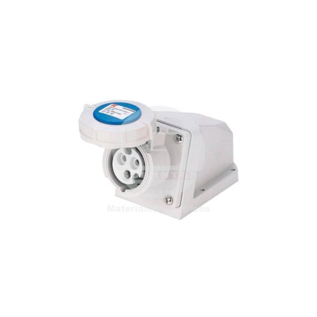 Hembra Sobrepuesta 2P+T 16A 220V IP67 Ekoline