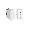 Placa Armada C/Enchufe 2P+T 10A + Int 9/12 Blanco 41484 ZBR Efapel