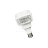 Ampolleta LED 80W E-40 Luz Dia Ekoline