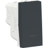 Interruptor Cruzamiento 10A 250V Grafito