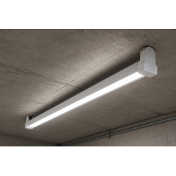 Tubo LED Ekoled (Vidrio) 18W Luz Día 1200mm Ekoline