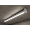 Tubo LED Ekoled (Vidrio) 9W Luz Día 1200mm Ekoline