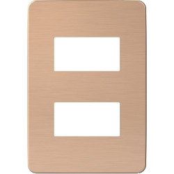 Placa 2 Modulos...