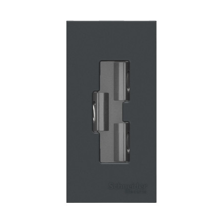 Toma Computacion 2P+T 10A 250V Grafito