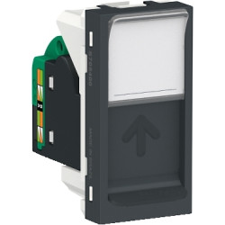 Toma RJ45 UTP CAT 5E Grafito