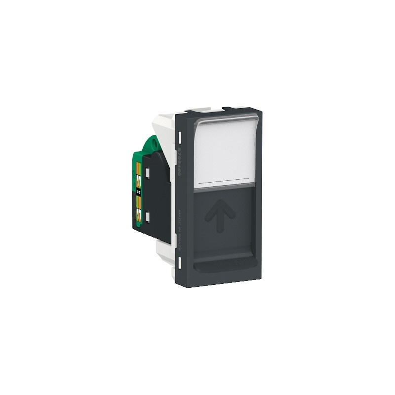 Toma RJ45 UTP CAT 5E Grafito