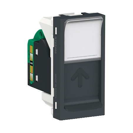 Toma RJ45 UTP CAT 5E Grafito