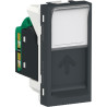 Toma RJ45 UTP CAT 5E Grafito