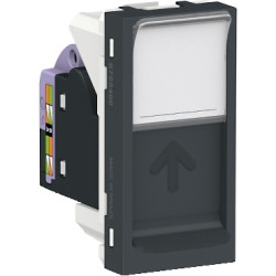 Toma RJ45 UTP CAT 6 Grafito