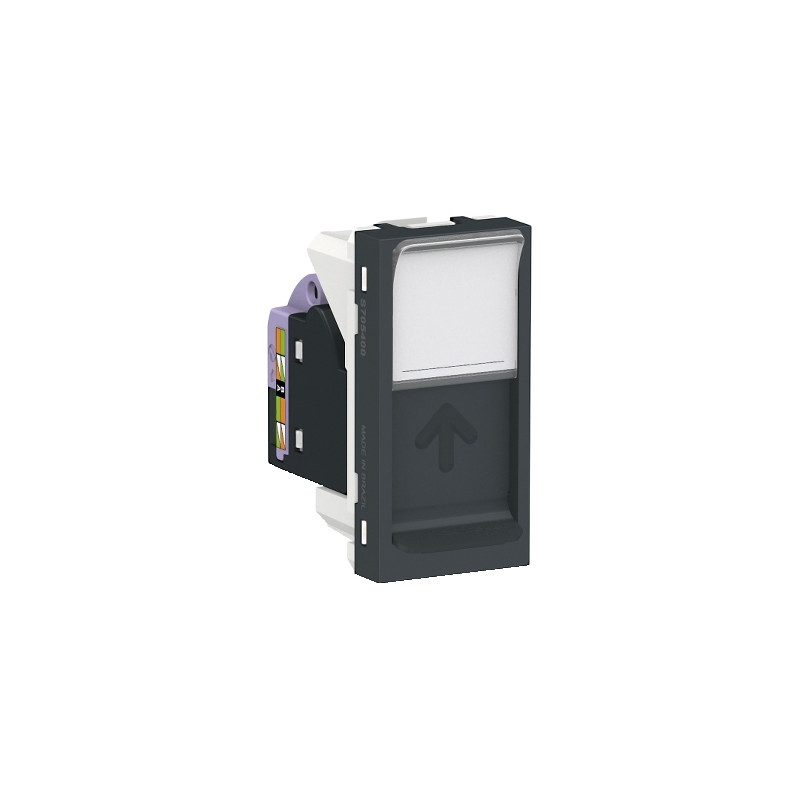 Toma RJ45 UTP CAT 6 Grafito