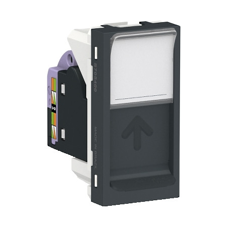 Toma RJ45 UTP CAT 6 Grafito