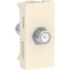 Toma TV Coaxial Marfil