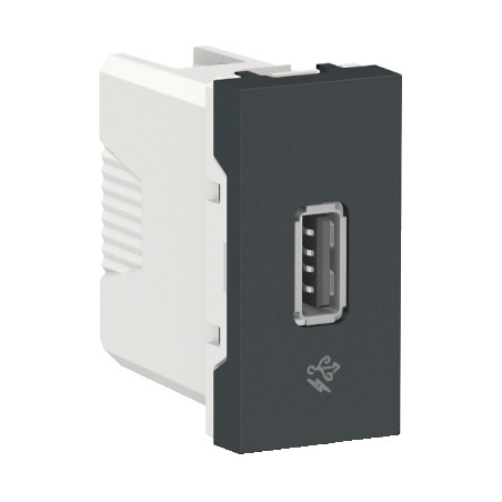 Toma USB 2.0 1A 127/220V Grafito