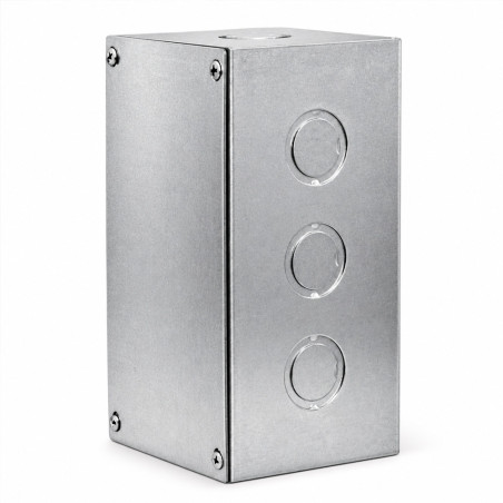 Caja B-12 C/Tapa Zincada (200 x 100 x 100 mm) Ekoline