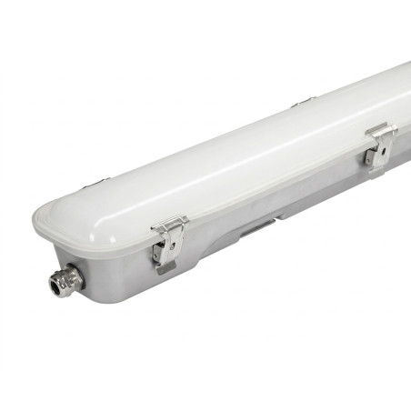 Canoa Estanca Ind. Acero Inox-Vidrio Temp 35W luz Fria 1300mm Ekoline