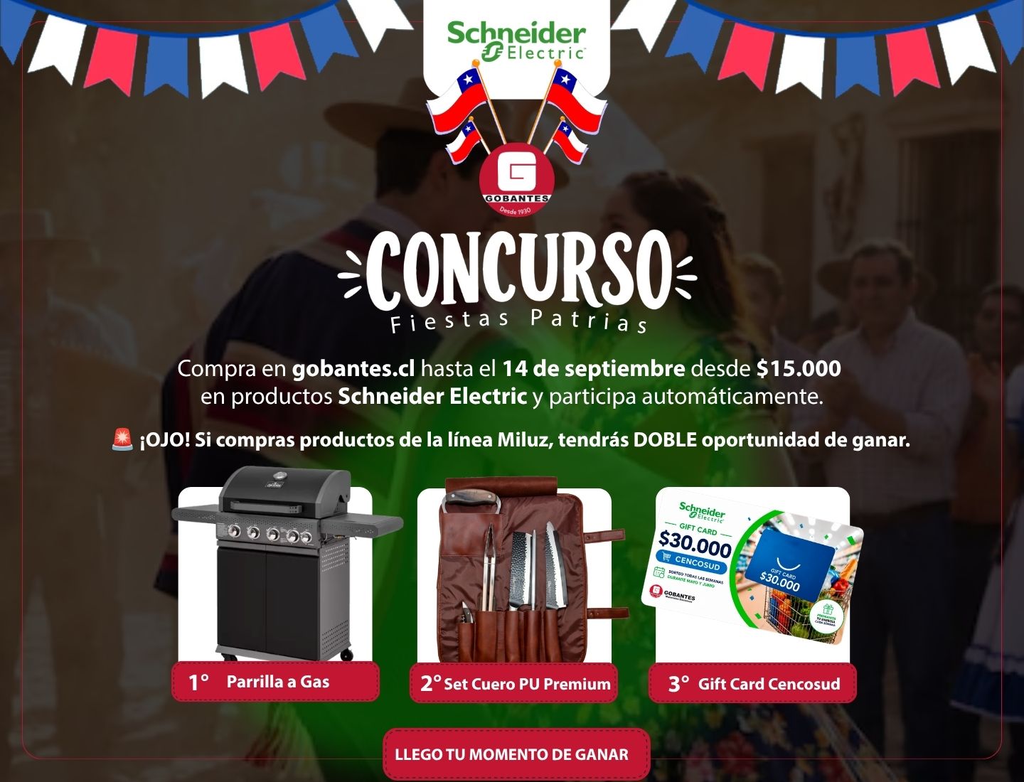 Schneider fiestas patrias 2 schneider